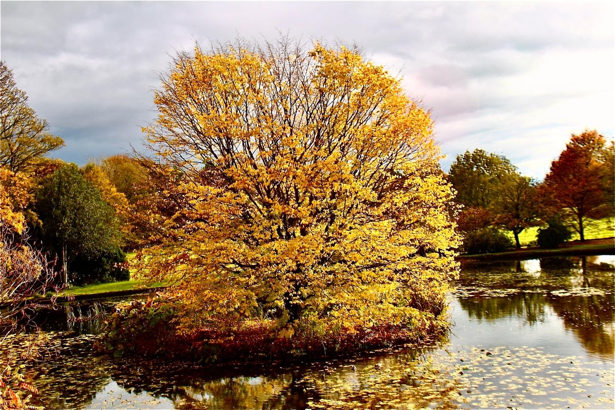 Waiting for Winter - Brian Daley